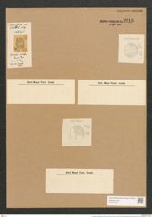 Cocconeis nodulifera Grove et Sturt. (de-Toni-Nr.: Genus 40, Species 1826) Zeichnungen Sammlung Grunow Nr. 3618 (NHMW-BOT-W0371220)